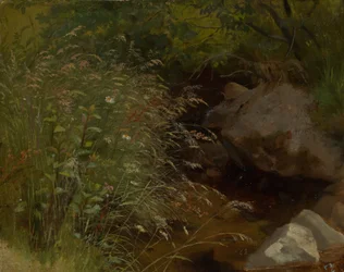 Herbes au bord du ruisseau