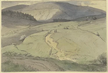 Paysage de la Forêt-Noire, vue sur des prairies vallonnées vers de hautes montagnes