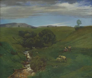 Prairie de la Forêt-Noire près de Bernau
