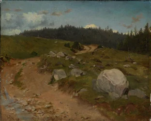 Chemin caillouteux à l