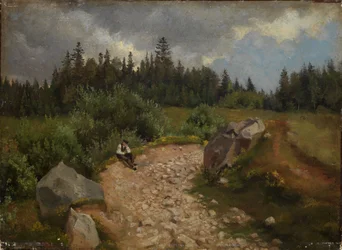Chemin caillouteux à l