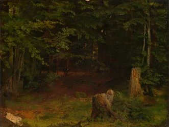 au cœur de la forêt
