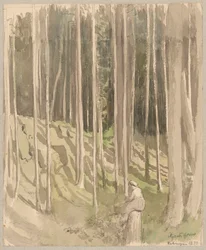 Vue de la forêt près de Bad Säckingen