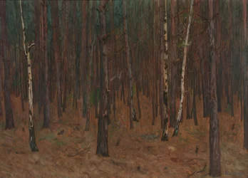 Intérieur de forêt