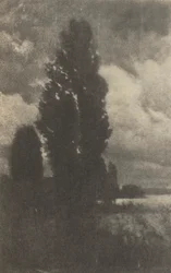 Camera Work: Peupliers et nuages