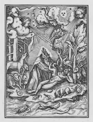 La Danse Macabre de Holbein : La Création