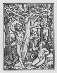 La Danse Macabre de Holbein : La Tentation