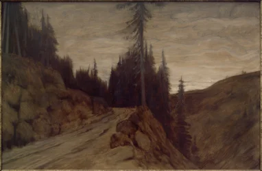 Épicéas au crépuscule