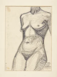 Torso de modèle féminin