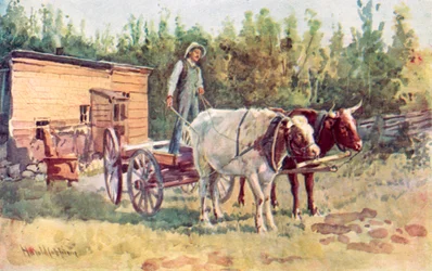 La cabane d