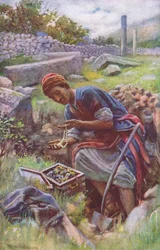 Le trésor caché, illustration de Harold Copping Pictures: The Crown Series, vers 1920