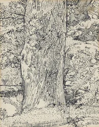 Arbre, 1916