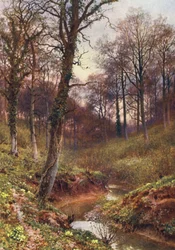 Solitude du soir, Ockley