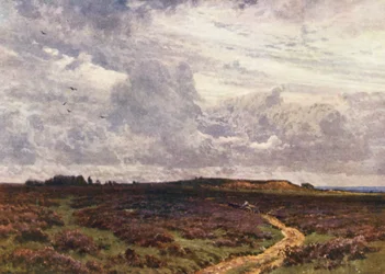 Le chemin sablonneux, Milford Heath