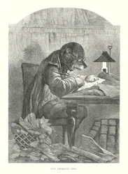 Drôles de chiens : Le chien littéraire (gravure)