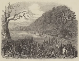 Réunion de coursing du Spelthorne Club, Hampton Court Park