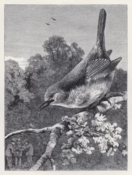 Le rouge-gorge regardant les garçons avec le nid