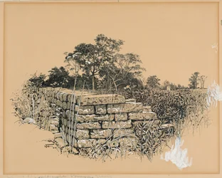 Coin du cimetière confédéré