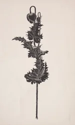 Étude de fleurs