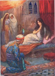 Le prince Feroze-Shah réveille la belle princesse, illustration tirée de "Children