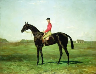 Un cheval de course avec un jockey sur l