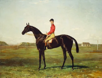 Un cheval de course avec jockey sur la piste de Newmarket