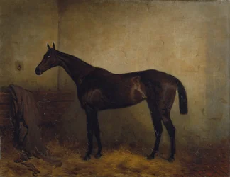 Chaplet, une jument de course baie dans un box, c.1877