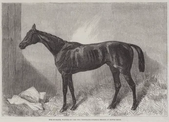 Le Marquis, vainqueur des Two Thousand Guineas Stakes à Newmarket