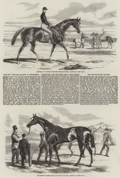 Les Deux Mille Stakes à Newmarket