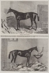 Les gagnants du Derby et des Oaks