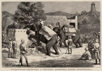 Afghanistan, fortifiant une position, éléphants rasant des dépendances