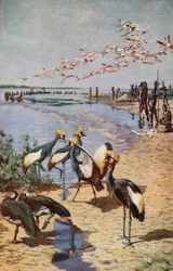 Les rives nord du lac Tchad, vues par Denham en 1822