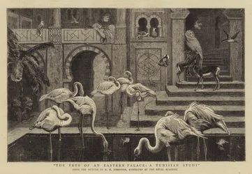 Les animaux de compagnie d