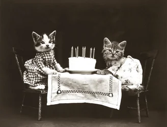 Série Kitties : Fête d