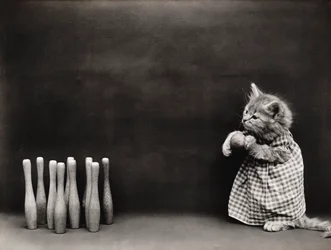 Série des chatons : Bowling, vers 1914 (tirage argentique)