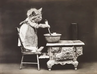 Série des chatons : Le cuisinier au fourneau, vers 1914 (épreuve argentique)