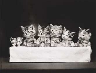 Série des chatons : Cène, vers 1914 (tirage argentique)