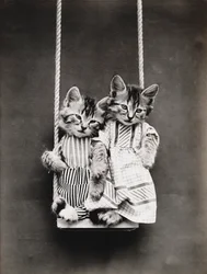 Série des chatons : Sur une balançoire, vers 1914 (tirage argentique)