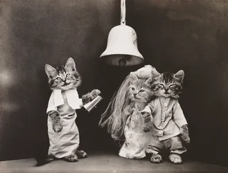 Série des chatons : Mariage, vers 1914 (tirage argentique)