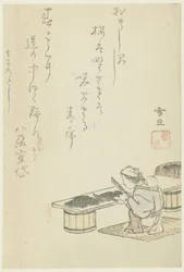 Femme coupant des algues