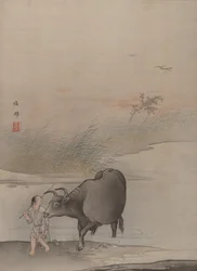 Garçon avec une vache au bord de la rivière