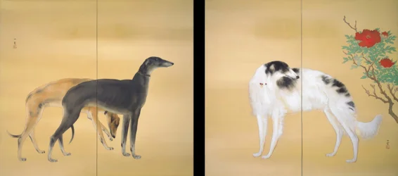 Hashimoto Kansetsu, Chiens européens