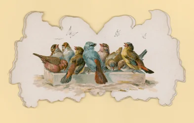 Oiseaux (lithographie en couleur)
