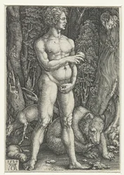 Adam