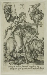 Colère, des Vices