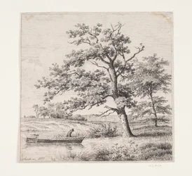 Chênes au bord d