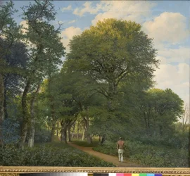 Un paysage forestier à Charlottenlund. Soir