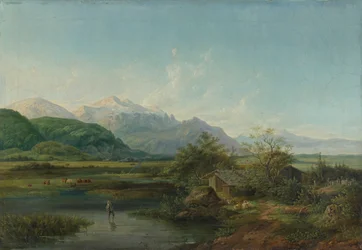 Paysage marécageux de Haute-Bavière