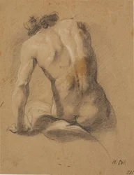 Modèle masculin assis, vu de dos