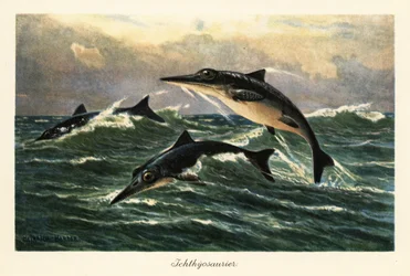 Ichthyosaures éteints sautant au-dessus de l
